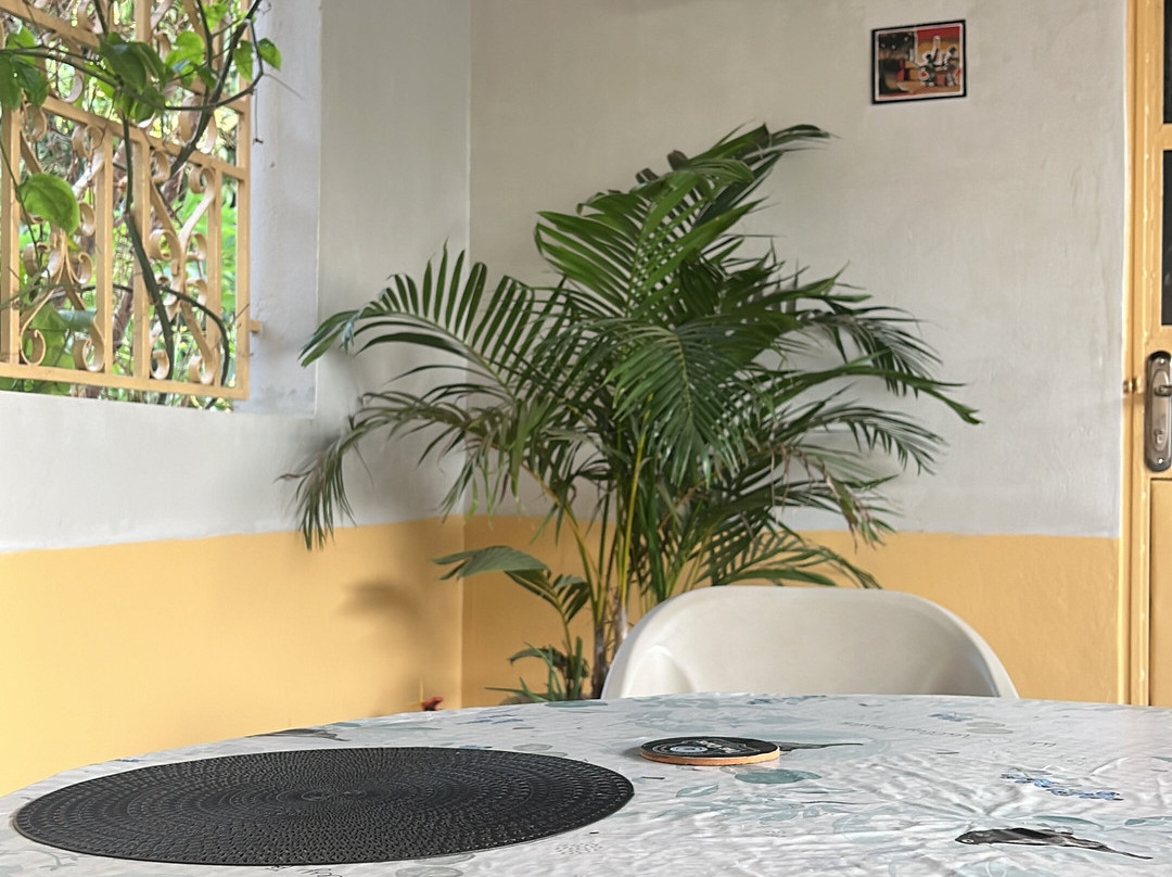 Senegambia Birding-Mandinari必去景点