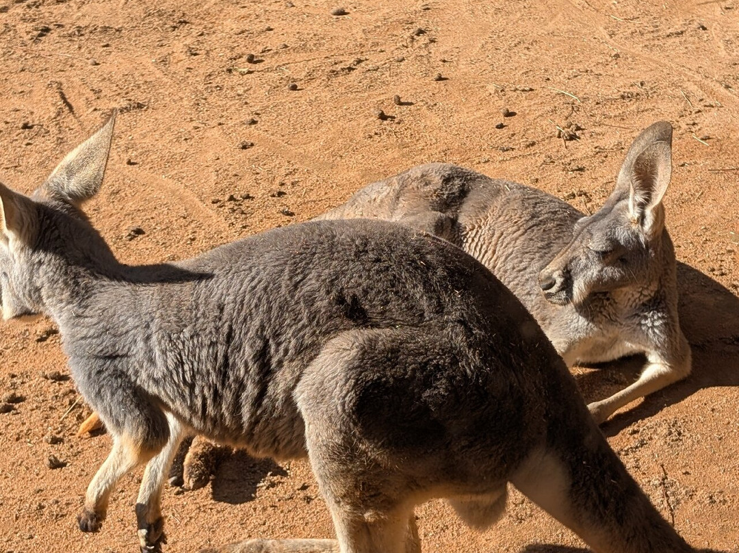 Zoo World Zoological Park-巴拿马城海滩必去景点