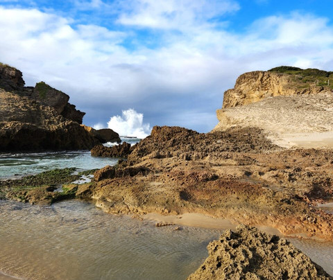 Cove View Beach House主图