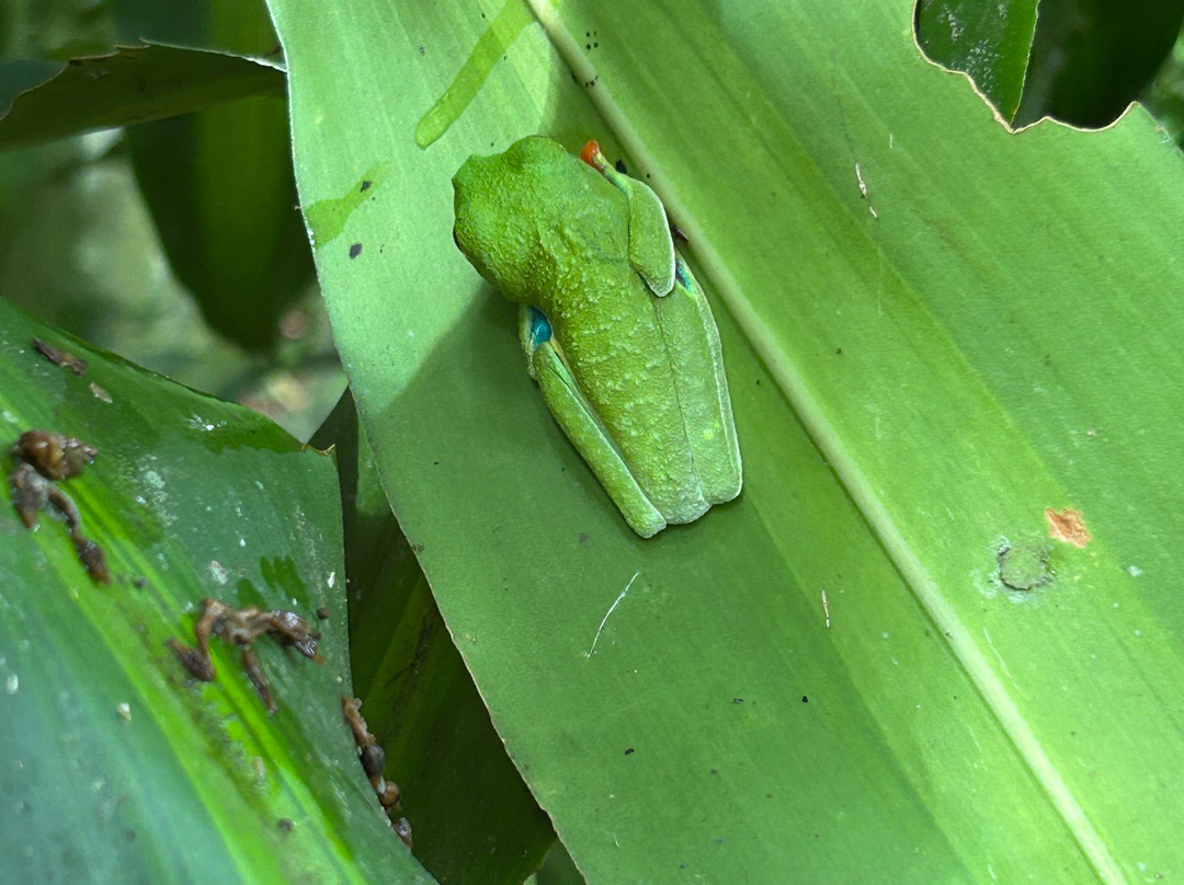 NexusTours-圣何塞必去景点