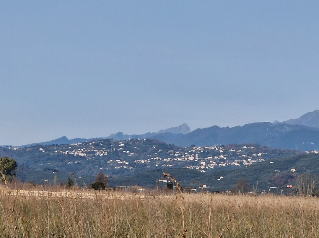 Lake Massaciuccoli-Torre del Lago Puccini必去景点