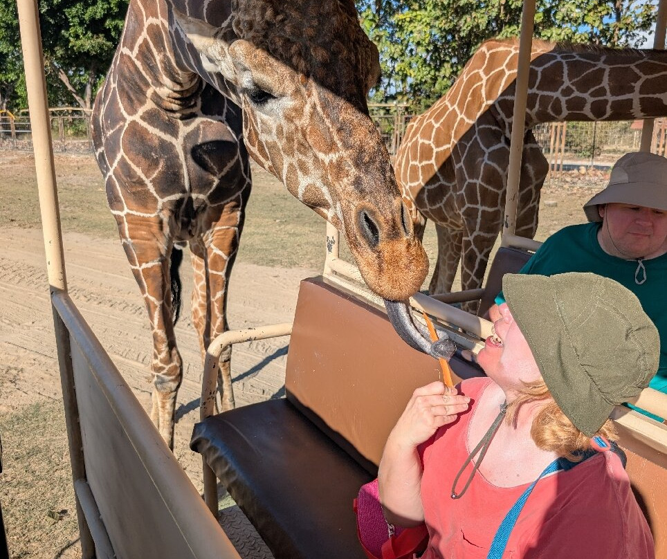 Ponderosa Adventure Park-利比里亚必去景点