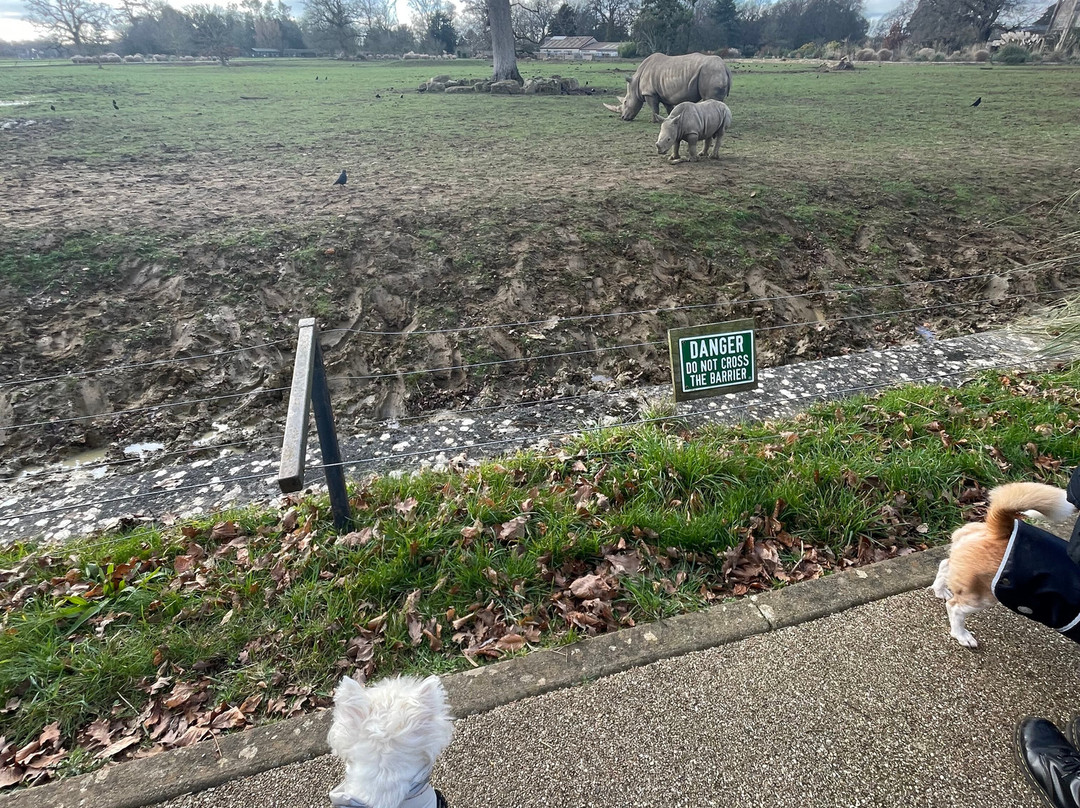 科茨沃尔德野生动物公园和花园-伯福德必去景点