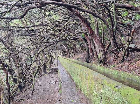 Anda, Walking With Emanuel-沙尔必去景点