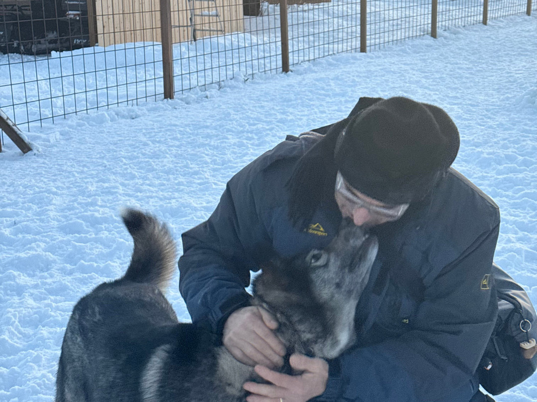 Openlappland-Amsele必去景点