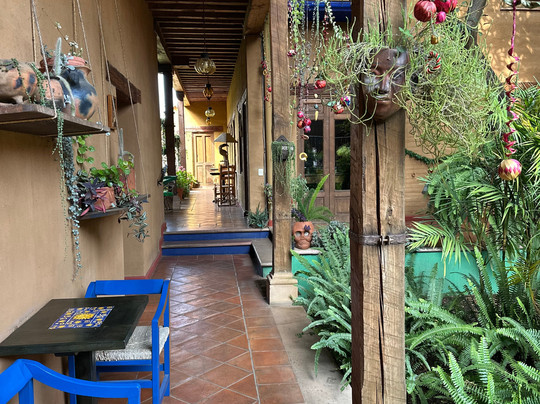 Hotel Posada Yolihuani主图