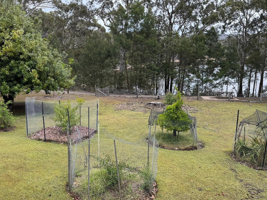 Davidson Whaling Station-伊登港必去景点