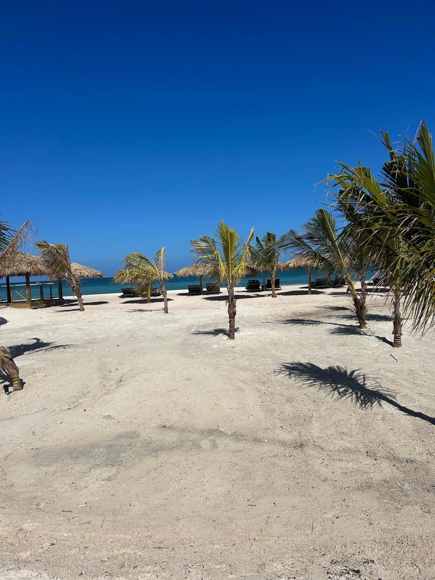 Excellence Oyster Bay-泳池