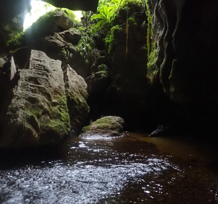 Underworld Adventures Ltd-Charleston必去景点