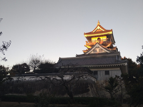Koyama Castle-吉田町必去景点