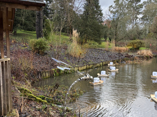 Sir Harold Hillier Gardens-罗姆西必去景点