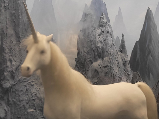 萨尔茨堡自然历史博物馆-萨尔茨堡必去景点