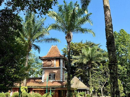 Melva Balemong主图