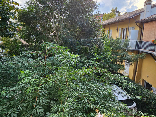 M club De Luxe B&B主图