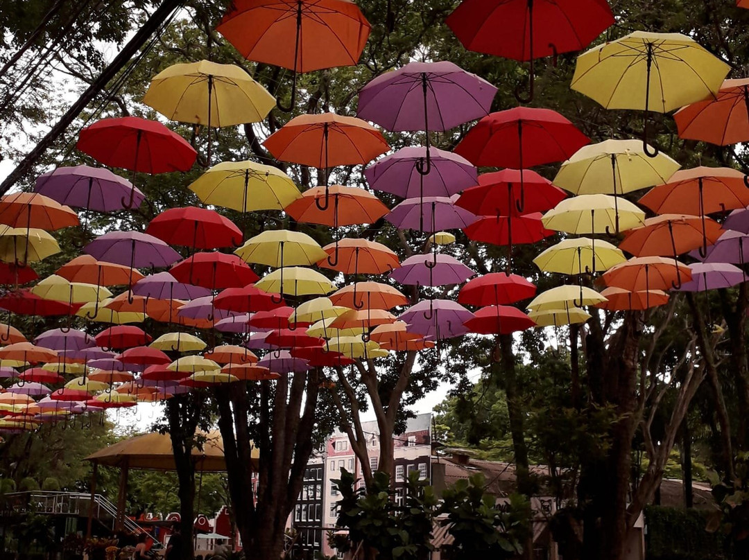 Rua dos Guardas-chuva Coloridos