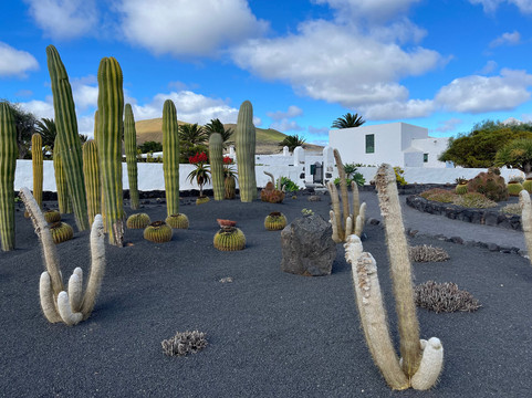 El Grifo - Museo del Vino-San Bartolome必去景点