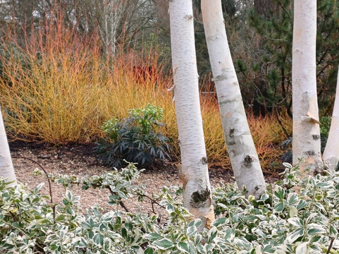 Mottisfont Abbey-Mottisfont必去景点