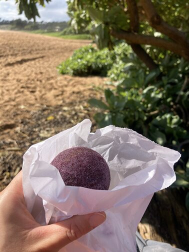 椰子市场-卡帕阿必去景点