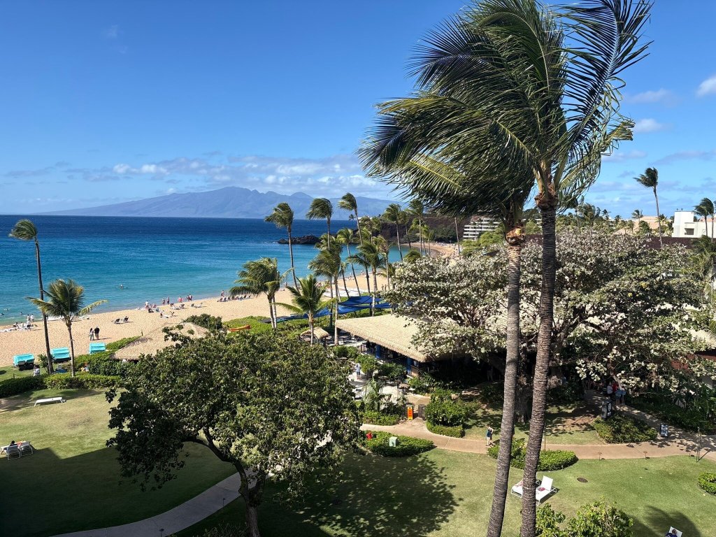 卡纳帕里海滩酒店-官方