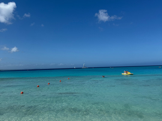 Playa Pesquero-奥尔金必去景点