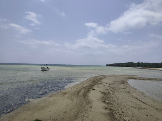 Ethical Dolphin Tours - Kizimkazi, Zanzibar-Kizimkazi必去景点