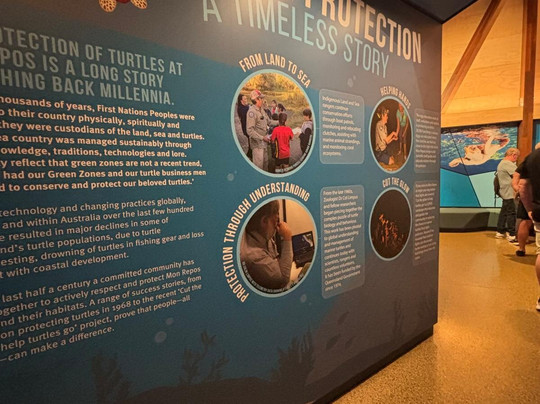 Mon Repos Turtle Encounter-邦德堡必去景点