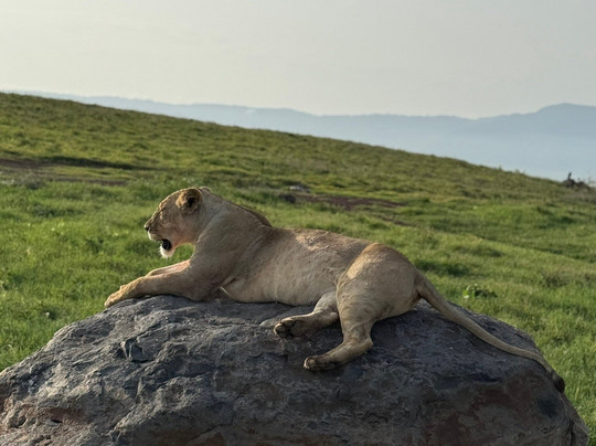 Pipit Safari-阿鲁沙必去景点