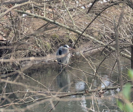 Aspen Grove Park-富兰克林必去景点