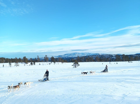 Trollheimen Husky-Rennebu Municipality必去景点