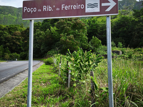 Poco da Ribeira do Ferreiro-Flores必去景点