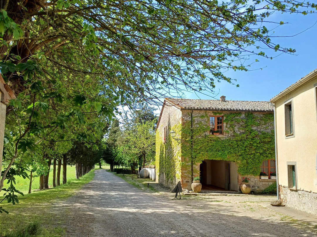 Via Francigena Tappa 37 Radicofani - Acquapendente-Radicofani必去景点