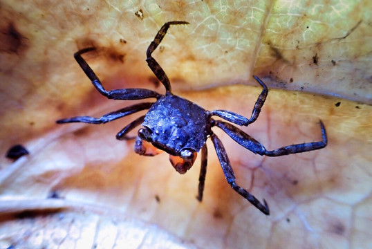 Aore Adventure Sports & Lodge-Aore Island必去景点