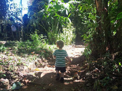 Royal Butterflies-哈科必去景点