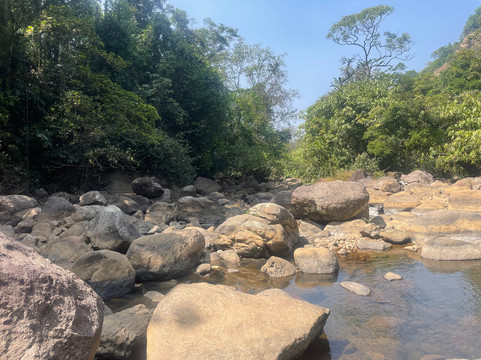 Munnar Info-慕那尔必去景点