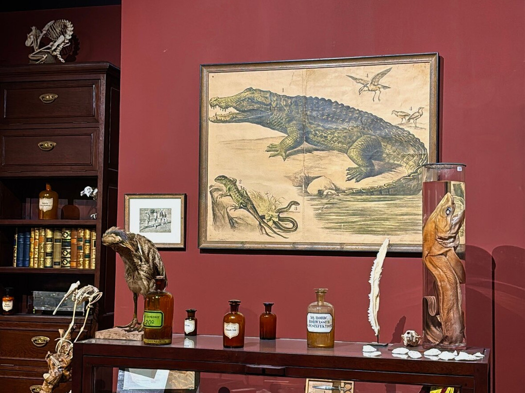 Dubai Crocodile Park-迪拜必去景点