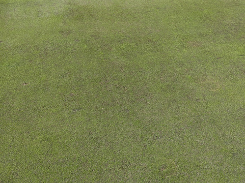 Tpc Louisiana-Avondale必去景点