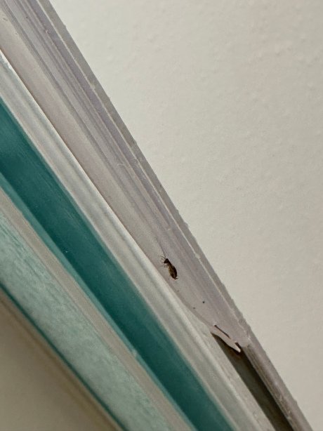 卡哈纳瀑布度假酒店-官方