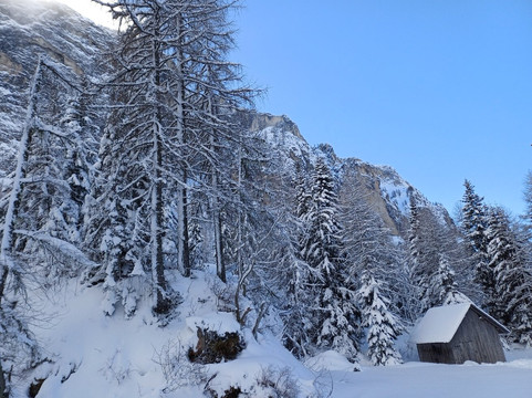 Hotel Edelweiss主图