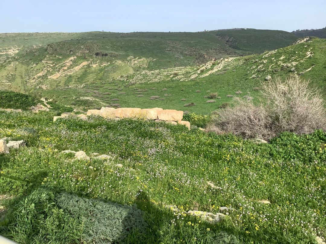 Susita (Hippos) Nature Reserve and National Park-Ein Gev必去景点