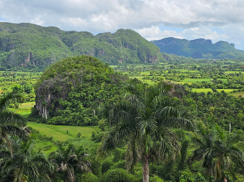 Authentic Tour Delivery-维纳勒斯必去景点