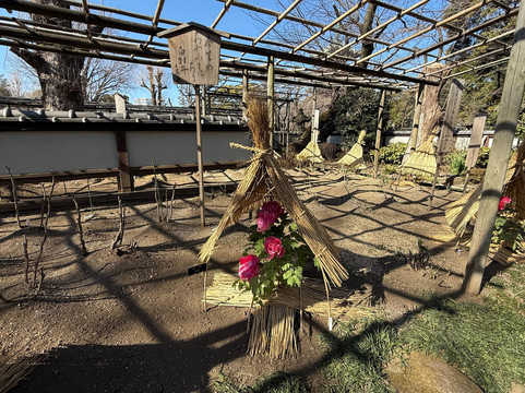 Ueno Toshogu Botanen-Uenokoen必去景点