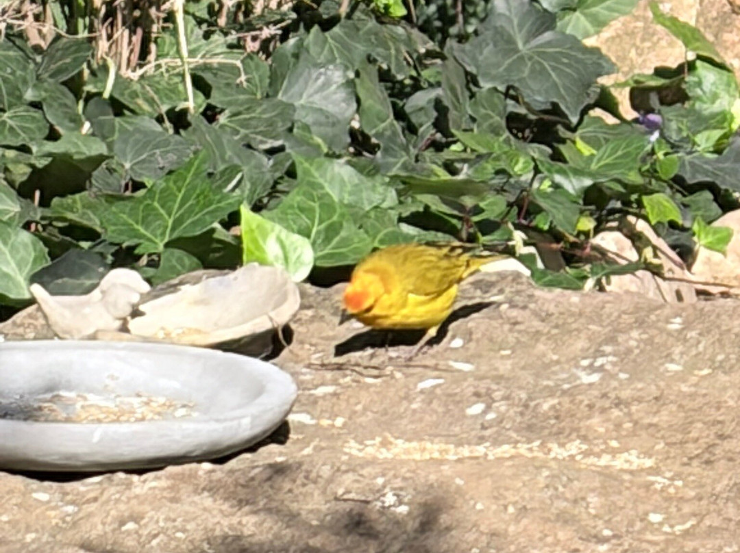 Casa Terracota-莱瓦镇必去景点