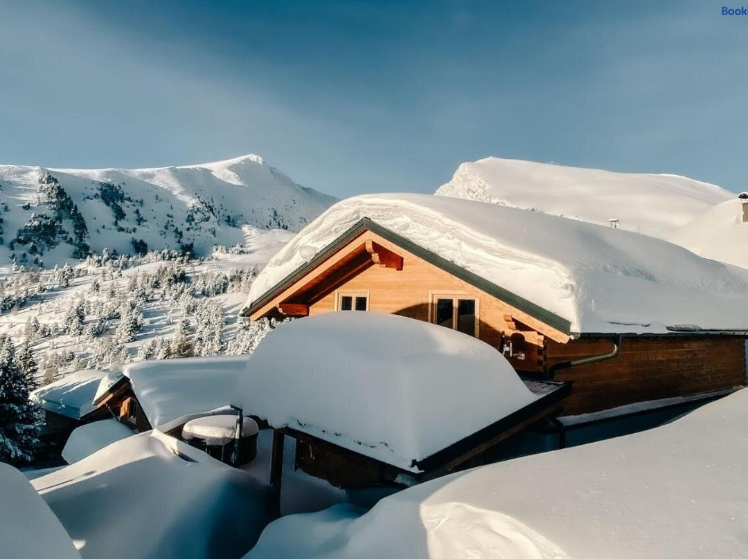 Heidi Chalets Falkert Heidialm - Chalets Bergwinter