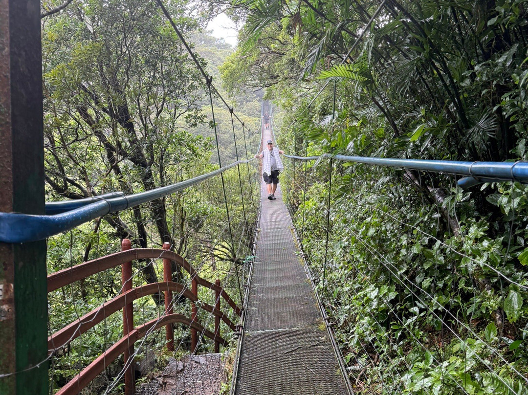 Discover Costa Rica Tours and Transfers-利比里亚必去景点