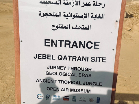 The Petrified Forest-法尤姆必去景点