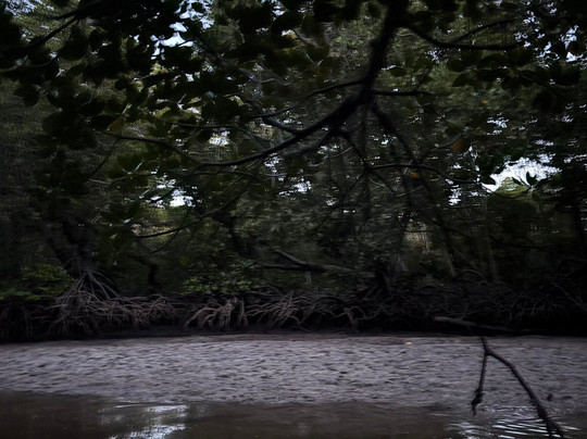 Mangi Kenya Safari-Malindi Marine National Park必去景点