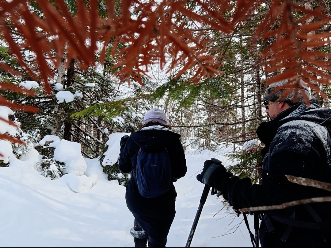 Parc regional de la Foret Ouareau-Notre-Dame-de-la-Merci必去景点