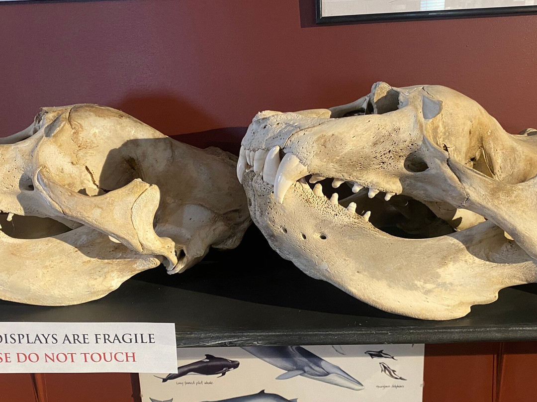 Falkland Islands Museum-Stanley必去景点