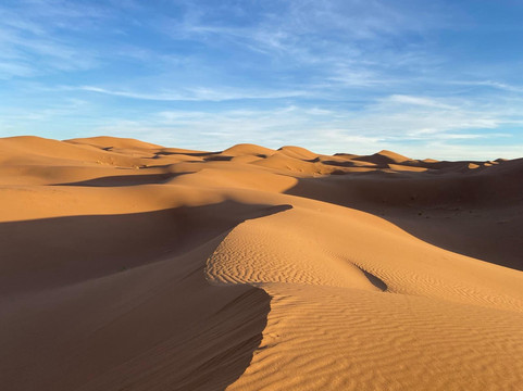Racines du Désert-迈哈米德必去景点