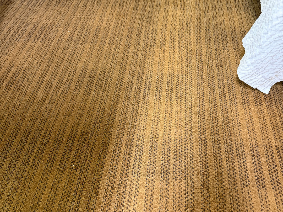 美国长住酒店 - 奥兰多 - 玛丽湖 - 1036格林伍德大道主图